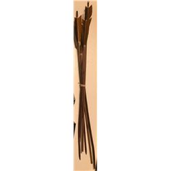 Tomb Raider (2018) - Set of 5 Lara Croft Arrows
