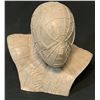 Image 1 : Spider-Man 3 (2007) - Study/Concept Model Bust