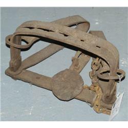 IRON BEAR TRAP