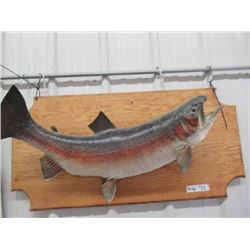 MW - Mounted Fish