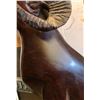 Image 3 : CARVED MAHOGONY BIG HORN SHEEP