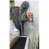 Image 1 : Halloween Decorations - Skull & Pirate