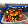 Image 2 : Holiday Decorations: Santa Sleigh Ride Sign, Thanksgiving Decor, Christmas Tree