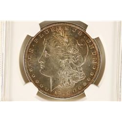 1884-O MORGAN SILVER DOLLAR NGC MS64