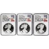 Image 1 : (3) Coin 2018-S $1 Proof Silver Eagle Location Set NGC PF70 Ultra Cameo First Day Castle