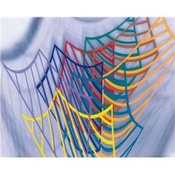 Dóra Maurer (1937–   ) - Colours and sh