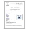 Image 3 : 7.50CT NATURAL Black Diamond 14K W/G RING