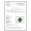 Image 3 : 6.51CT NATURAL CEYLON GREEN SAPPHIRE 14K WHITE GOLD RING
