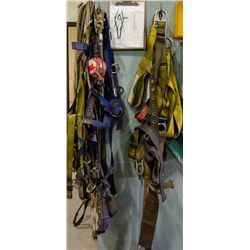 LOT OF ASSORTED FALL PROTECTION INCL: HARNESSES,