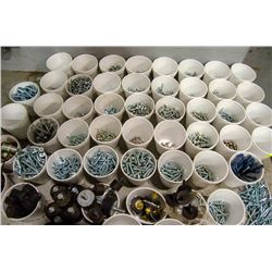 LARGE LOT OF ASSORTED CUPS OF SCREWS