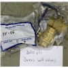 Image 1 : 2 BAGS OF 300 PSI BRASS BALL VALVES
