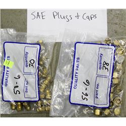 2 BAGS OF SAE PLUGS & CAPS