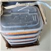 Image 3 : 8 KILOGRAMS OF BLUE LATH NAILS
