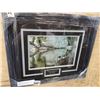 Image 1 : ROBERT BATEMAN PRINT "NORTHERN REFLECTIONS LOON FAMILY"