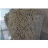 Image 2 : SHAG AREA CARPET 63 IN BY 89 IN