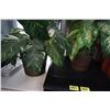 Image 2 : 2 ARTIFICIAL PLANTS