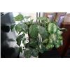 Image 3 : 2 ARTIFICIAL PLANTS