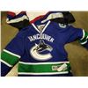 Image 2 : 2 CANUCKS JERSEYS