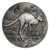 Image 2 : 2016 Australia 2 oz Silver HR Kangaroo MS-69 PCGS (Antiqued)