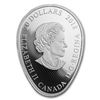 Image 2 : 2018 Canada 1 oz Silver $20 Four Seasons of the Maple Leaf