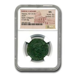 Roman Provencial AE 28 Emperor Tiberius (14-37 AD) MS NGC