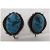 Image 1 : TURQUOISE EARRINGS STERLING SILVER SCREWBACK