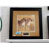 Image 1 : Framed Robert Bateman Lioness Print