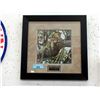 Image 1 : Framed Robert Bateman Leopard Print