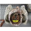 Image 1 : 3 African Carved Stone Statues