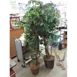 Two 6 Foot Tall Imitation Trees in Pots