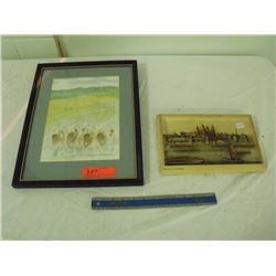 Shades of the Grassland