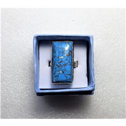 20)  ELONGATED TURQUOISE WITH COPPER