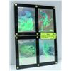 Image 1 : FRAMED 1993 JURASSIC PARK SET OF 4 HOLOGRAMS