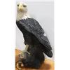 Image 4 : LARGE EAGLE ON TREE STUMP