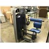 Image 1 : TECHNO GYM TOTAL LOWER BACK EXERCISE STATION