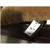Image 3 : GROUP OF 5 THROW PILLOWS (2 X ARROW 16" X 16" -MSRP $49.99 EA) (GENNA JEAN FOR LIFE -BROWN 13" X