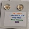 Image 2 : 10K 2 TANZANITE(0.55CT) RUBY(0.52CT) EARRINGS