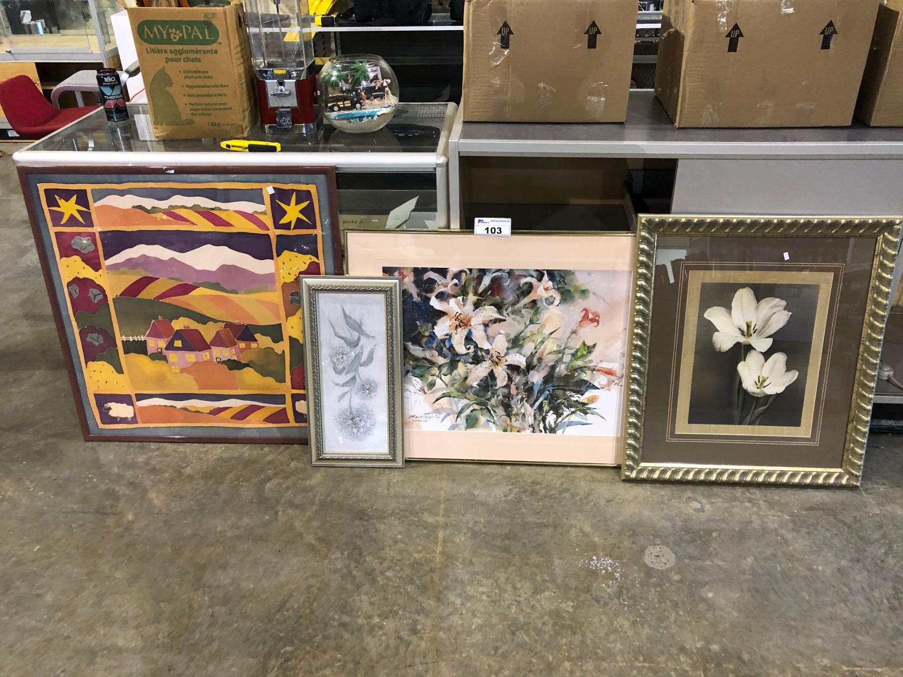 ASSORTED PICTURES
