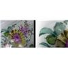 Image 5 : Meissen clamshell dish; polychrome flor