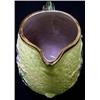 Image 3 : Majolica pitcher; blackberry and leaf d