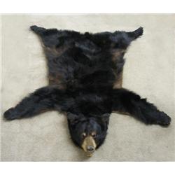 Black bear rug with full head; mid 20th