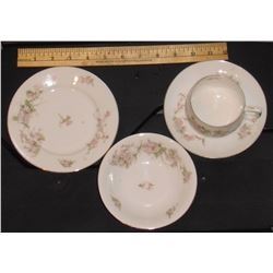 Antique MZ Austria rare BRIDAL ROSE PORCELAIN TEA SET For 6+ Petits gâteaux Plates Cups Dessert