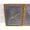 Image 2 : PAIR OF NEEDLEWORK PRINTS OF TROPICAL B