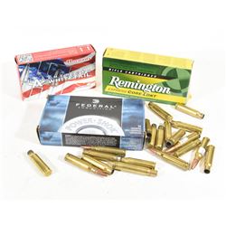 308Win Ammunition and Brass