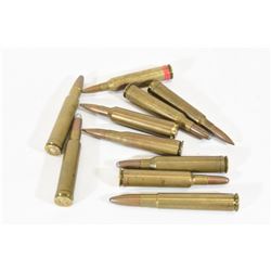 Assorted Magnum Rounds