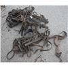 Image 2 : Lot of Harnesses