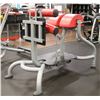 Image 1 : MATRIXREVERSE HYPER EXTENSION/GLUTE HAM MACHINE