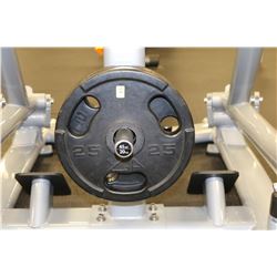 LOT OF 2 25LB WEIGHTS