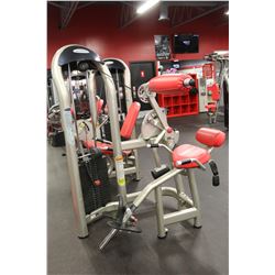 MATRIX BACK EXTENSION MACHINE