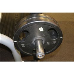 LOT OF 2 25LB WEIGHTS